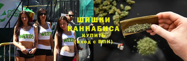эйфоретик Белокуриха