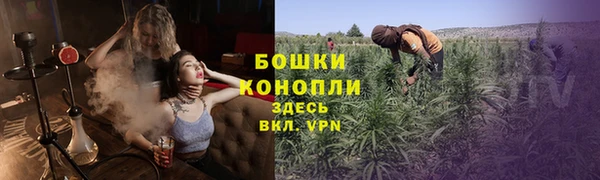 эйфоретик Белокуриха