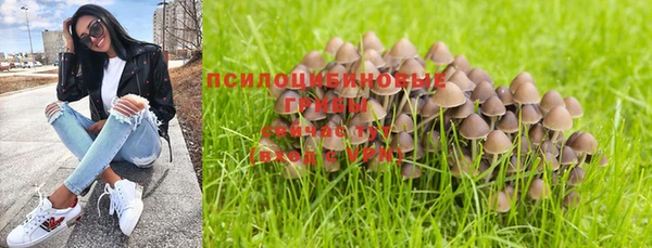 СК Беломорск