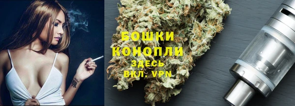 эйфоретик Белокуриха