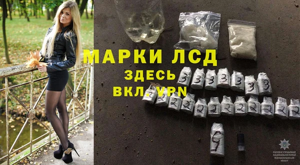 эйфоретик Белокуриха