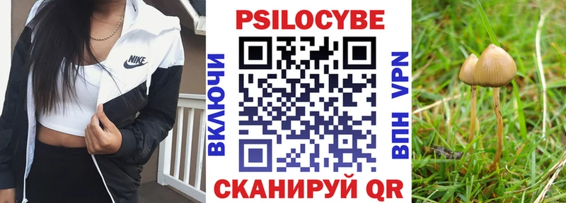 hydra зеркало Бородино Галлюциногенные грибы ЛСД