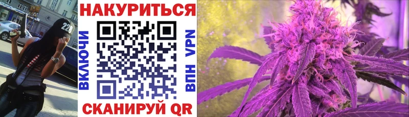 blacksprut Бородино Бошки марихуана индика